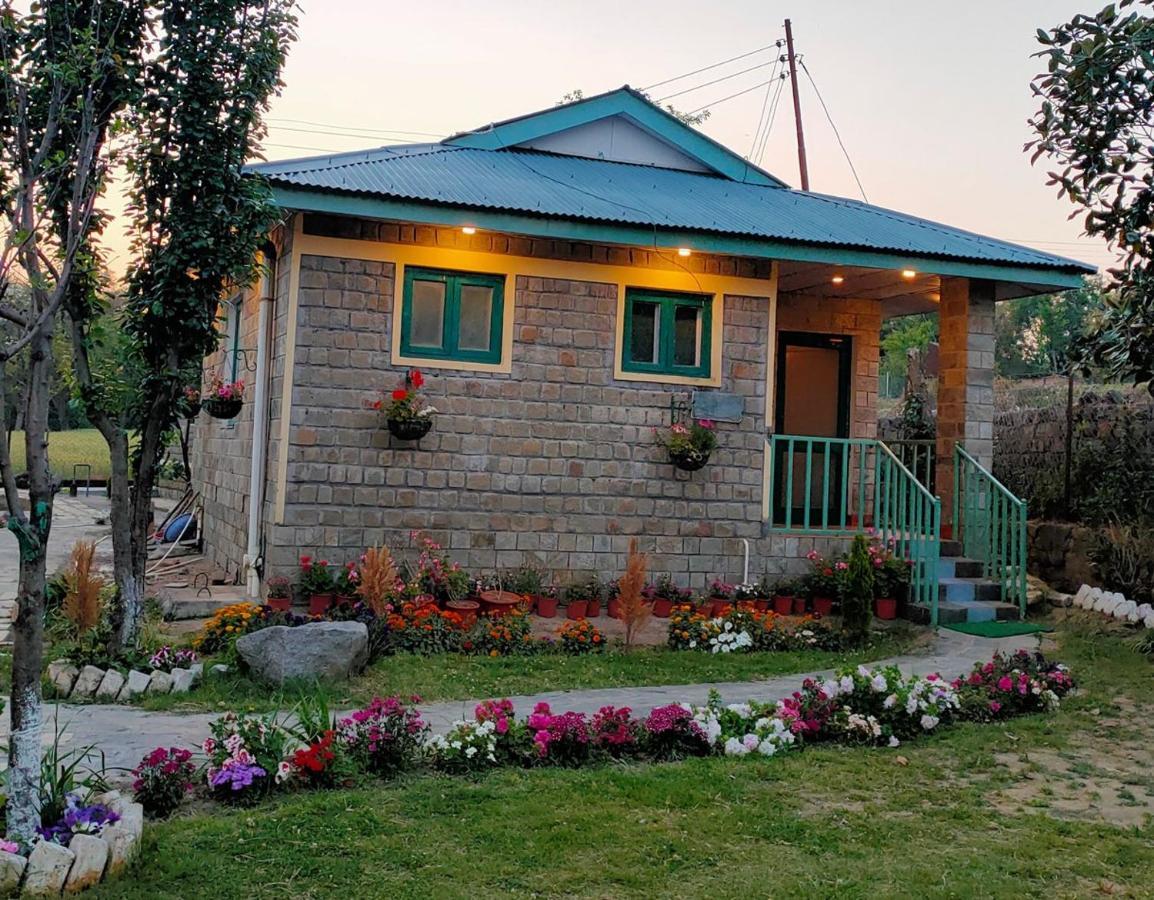Nagri Resort Palampur Exterior photo