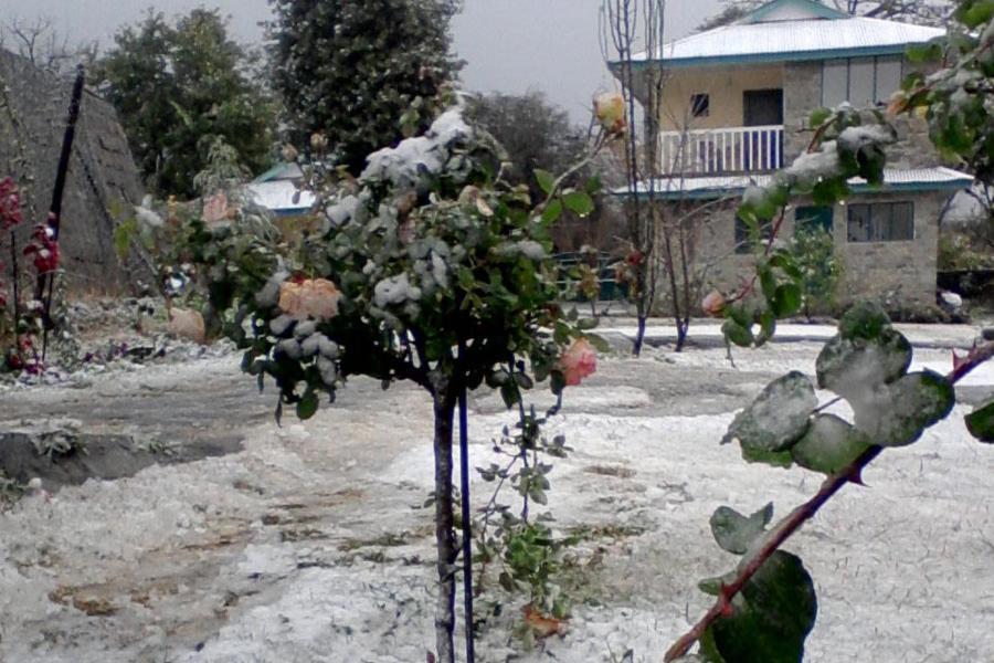 Nagri Resort Palampur Exterior photo