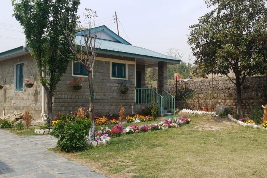 Nagri Resort Palampur Exterior photo